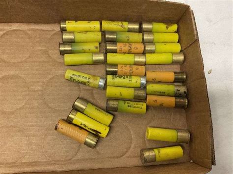 Assorted 20 gauge shotgun shells - Legacy Auction Company