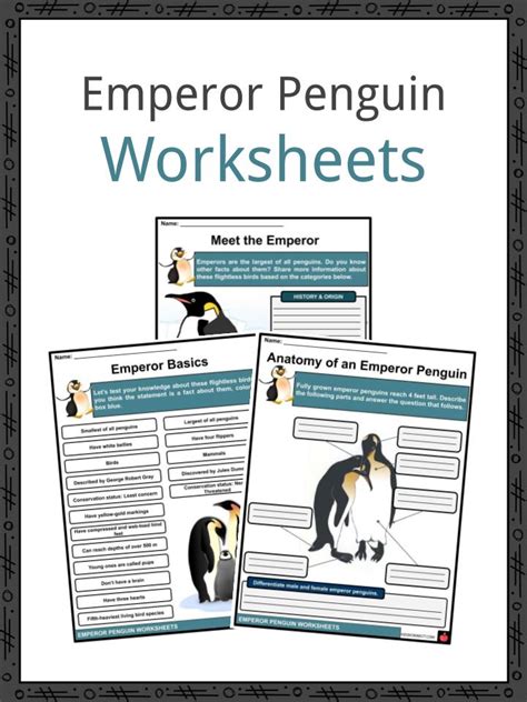 Emperor Penguin Facts, Worksheets & Taxonomy For Kids