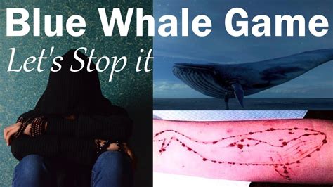 BLUE WHALE free download, sure? | SKILLED GURU