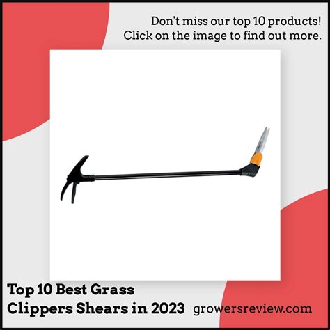 Top 10 Best Grass Clippers Shears in 2024 - Growersreview.com