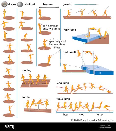 Track Events And Field Events Difference - Leena Aloisia