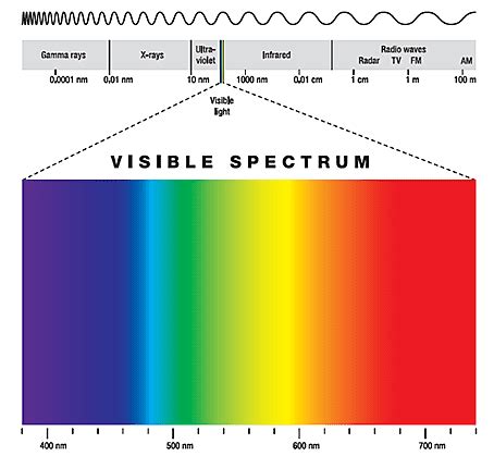 Blue Light and Your Eyes - Prevent Blindness