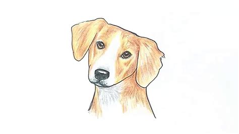 Dog Face Drawing Easy - Drawing Clipartmag | Bodaswasuas