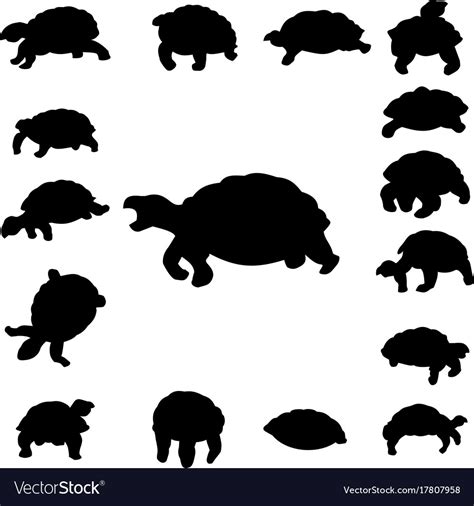 Set tortoise silhouette Royalty Free Vector Image