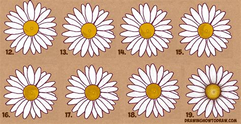 How to Draw a Daisy Flower (Daisies) in Easy Step by Step Drawing Instructions Tutorial for ...