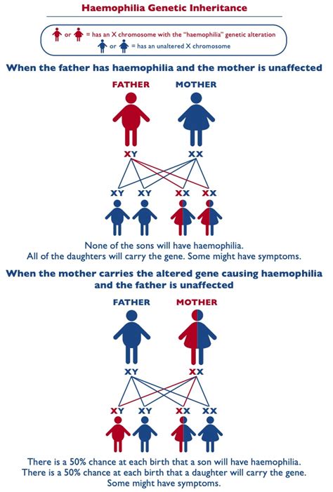 Different Types Of Hemophilia Diagram