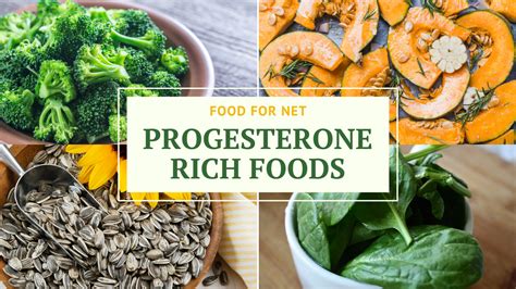 Foods To Increase Your Progesterone Levels | Food For Net