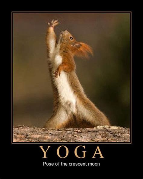 27 best Funny Yoga images on Pinterest | Funny pics, Ha ha and Funny yoga