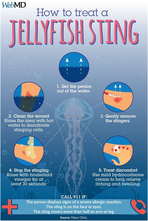 Jellyfish stings | Jellyfish sting, Jellyfish quotes, Jellyfish