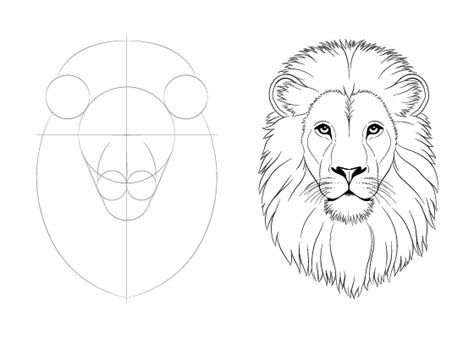 How to Draw Lion Face & Head Step by Step - EasyDrawingTips