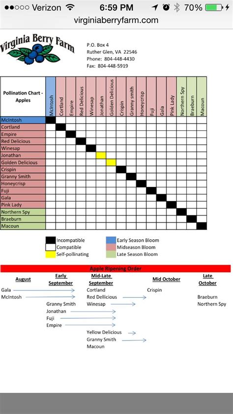 Apple pollination chart and month(s) you'll have fruit from each type ...