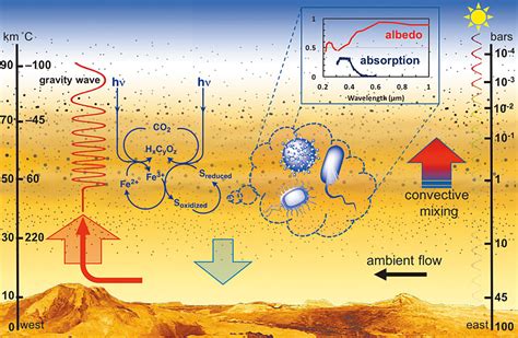 Venus’ Atmosphere Could Host Acid-Resistant Microorganisms | Astrobiology, Space Exploration ...