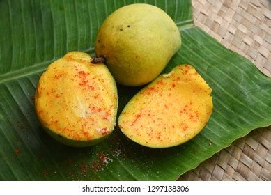 75 Mango Plantation Kerala Images, Stock Photos & Vectors | Shutterstock