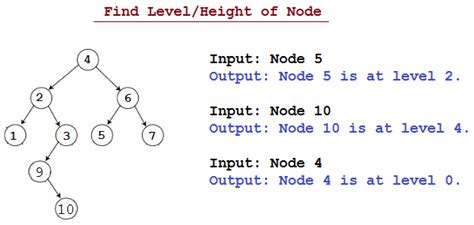 Find Height of node in Binary tree in Java | JavaByPatel: Data ...