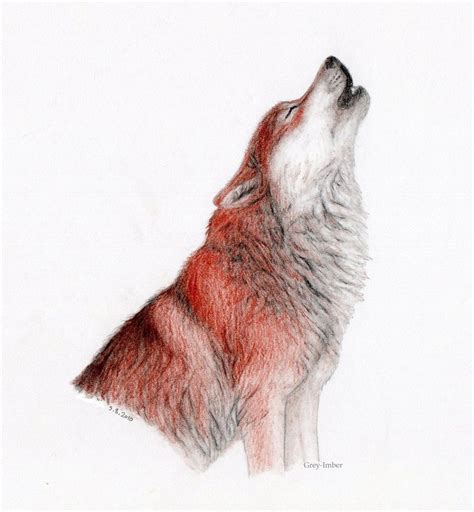 Red wolf | Red wolf, Wolf, Animal tattoos