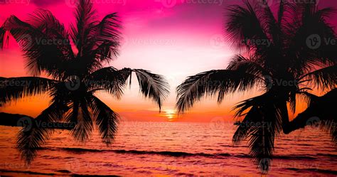 Beautiful sunset on the tropical sea beach.Silhouette of palm trees on pink sky background for ...