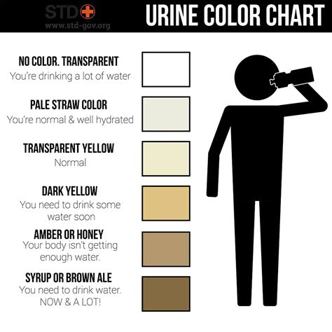 Dark Urine | Causes, What Does it Mean, What to Do, FAQs