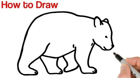 Cute Easy Pictures To Draw Animals / This cute animal is also relatively easy to duplicate.