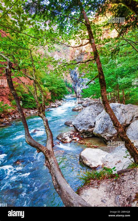 beautiful landscape, nature. forest mountain and blue stream, beauty ...