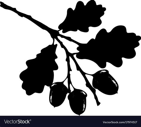 Oak leaf acorn and branch isolated silhouette vector image on VectorStock in 2020 | Silhouette ...