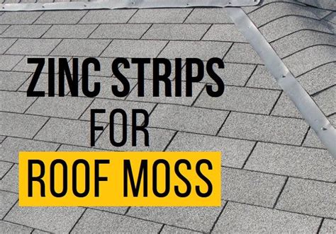 Do Better for Your Roof, Install Zinc Strips for Roof Moss