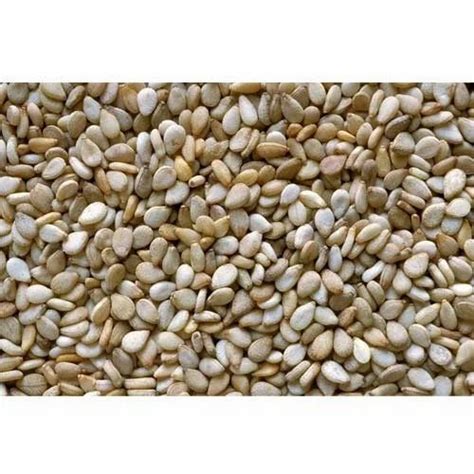 Sesamum Seeds at best price in Mumbai by Maganlal Shivram & Company ...