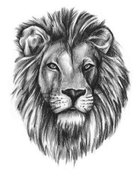 Lion Head Tattoo Outline Realistic lion head tattoo Tribal Lion Tattoo, Small Lion Tattoo, Smal ...