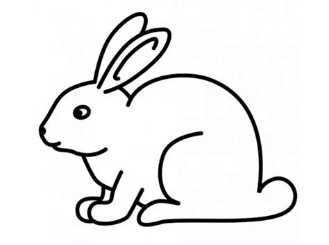 Rabbit Coloring Pages | Free download on ClipArtMag