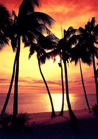 A #Fiji sunset is forever. #memories | Beautiful fiji, Beautiful beaches, Vacation spots