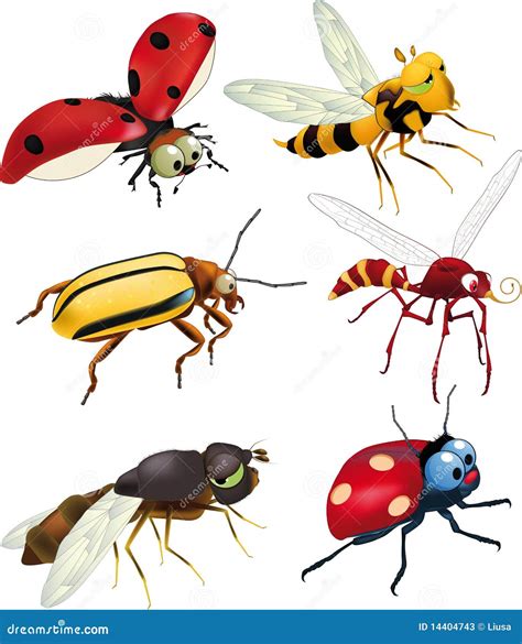 Group Of Insects Stock Photos - Image: 14404743