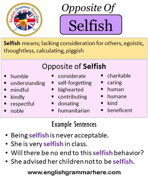 Opposite Of Selfish, Antonyms of Selfish, Meaning and Example Sentences - English Grammar Here