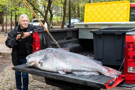 131-Pound Blue Catfish Shatters Mississippi State Record | Outdoor Life