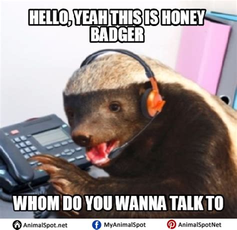 Honey Badger Cartoon Meme - An element of a culture or system of behavior that may be definition ...