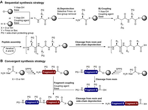 Frontiers | Recent Progress in the Chemical Synthesis of Class II and S-Glycosylated Bacteriocins