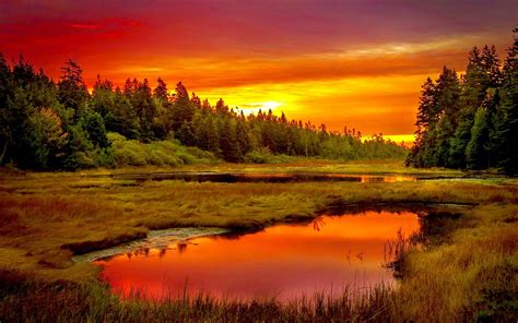 Summer Meadow Sunset | Scenery, Landscape photography nature, Sunset nature