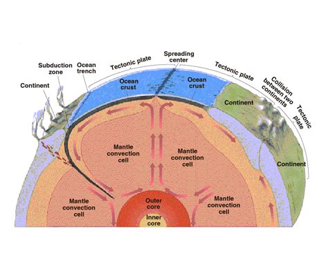 Diagram Of Convection Cells In The Mantle