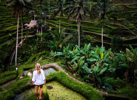 18 Fantastic Things To Do In Ubud, Bali