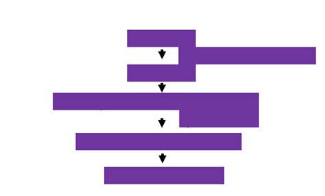 The visual pathway Diagram | Quizlet