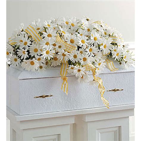 FUNERAL :: CASKET SPRAYS :: Elegant Daisy Casket Spray