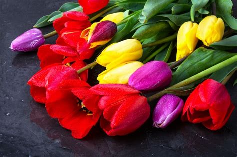 Premium Photo | Bouquet of spring tulips