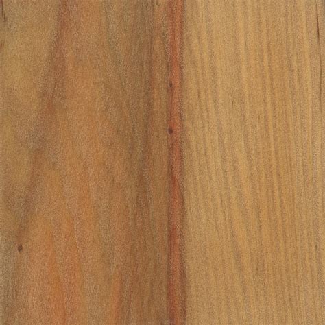 Parana Pine | The Wood Database - Lumber Identification (Softwood)