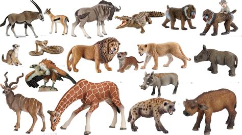 List Of Animals In Savanna