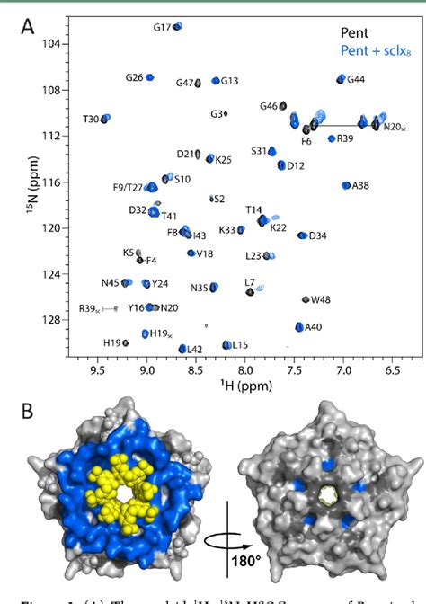 Figure 1 from Multivalent Calixarene Complexation of a Designed Pentameric Lectin | Semantic Scholar