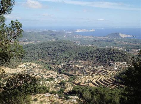 149 best images about Ibiza nature - Ibiza naturaleza on Pinterest | Norte, Almonds and Rincon