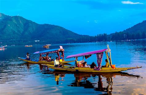 Dal Lake Shikara Ride: A Serene Srinagar Experience