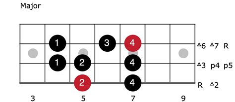 3 Note Per String Scale Patterns On Bass (Expand Your Creativity!)