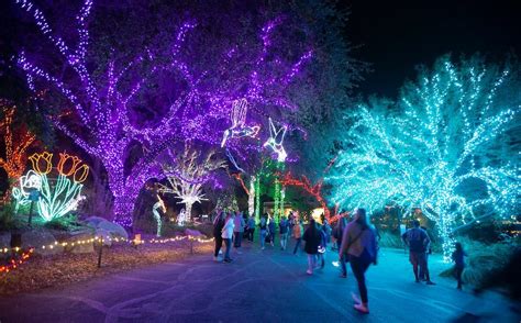 ZooLights at the Phoenix Zoo | Tempe Tourism