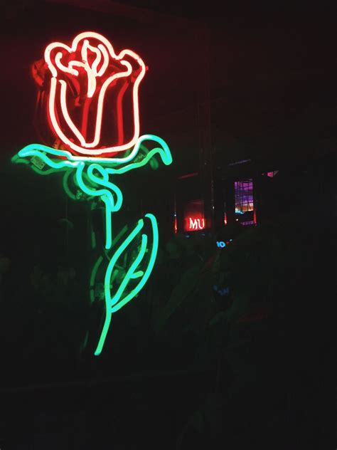 Neon Signs Aesthetic Wallpapers on WallpaperDog