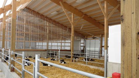 Inside the progressive calf barn in Lake Mills, WI | Fattoria