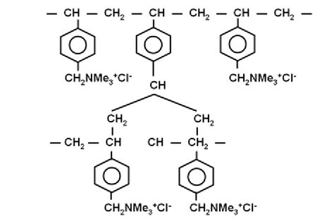 Typical polystyrene anion exchange resin (Cl -1 ) | Download Scientific Diagram